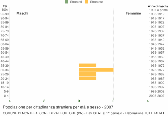 Grafico cittadini stranieri - Montefalcone di Val Fortore 2007