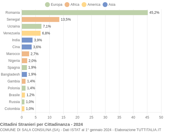 Grafico cittadinanza stranieri - Sala Consilina 2024