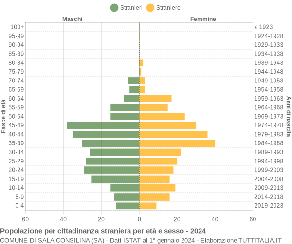 Grafico cittadini stranieri - Sala Consilina 2024