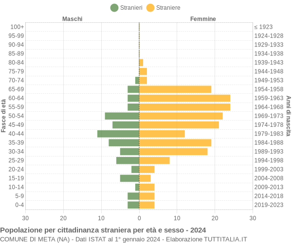 Grafico cittadini stranieri - Meta 2024