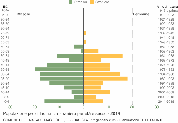 Grafico cittadini stranieri - Pignataro Maggiore 2019