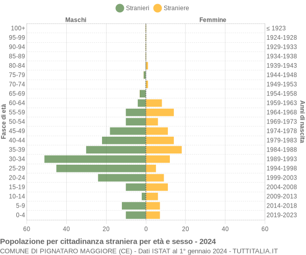 Grafico cittadini stranieri - Pignataro Maggiore 2024