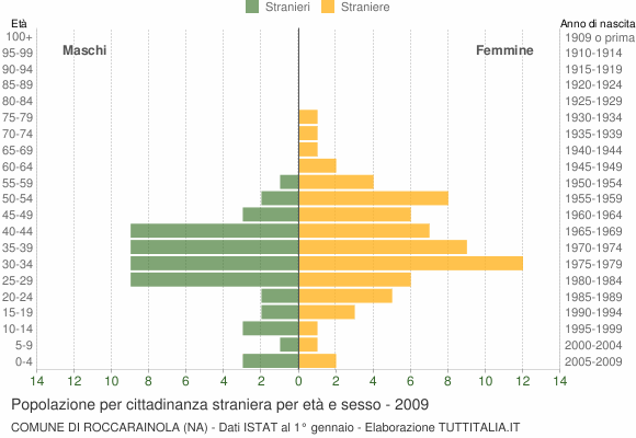 Grafico cittadini stranieri - Roccarainola 2009