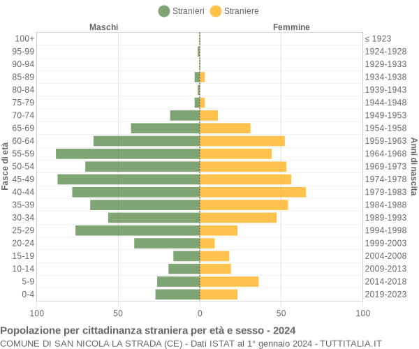 Grafico cittadini stranieri - San Nicola la Strada 2024