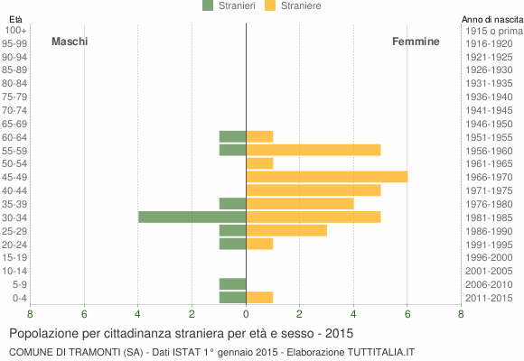 Grafico cittadini stranieri - Tramonti 2015