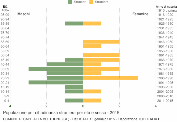 Grafico cittadini stranieri - Capriati a Volturno 2015