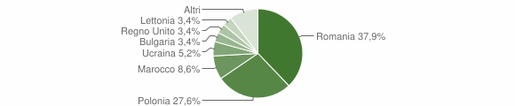 Grafico cittadinanza stranieri - Torchiara 2009