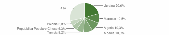 Grafico cittadinanza stranieri - Acerra 2009