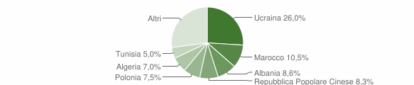 Grafico cittadinanza stranieri - Acerra 2012