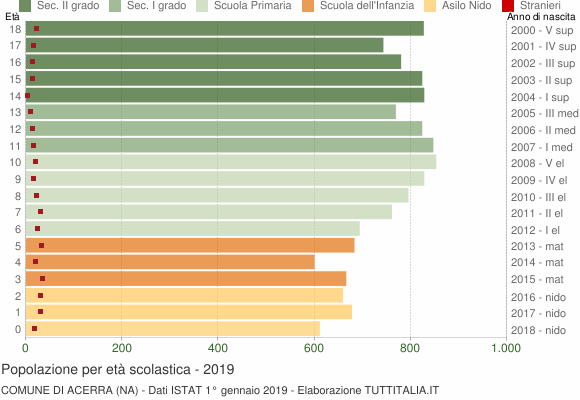 Grafico Popolazione in età scolastica - Acerra 2019