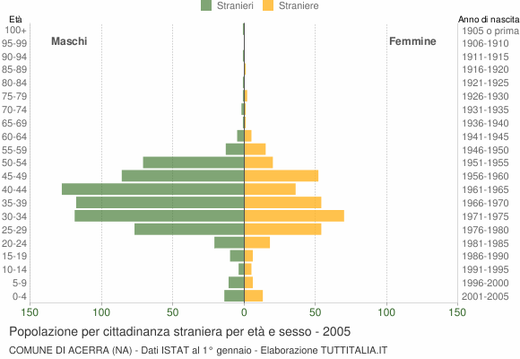 Grafico cittadini stranieri - Acerra 2005