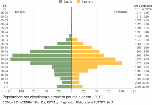 Grafico cittadini stranieri - Acerra 2010