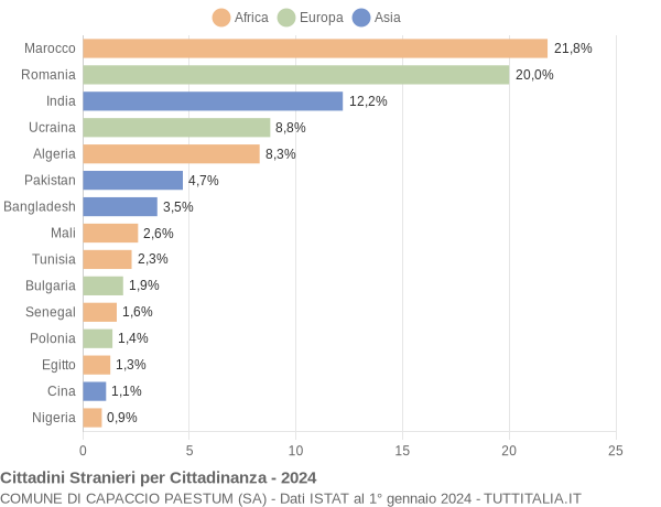 Grafico cittadinanza stranieri - Capaccio Paestum 2024