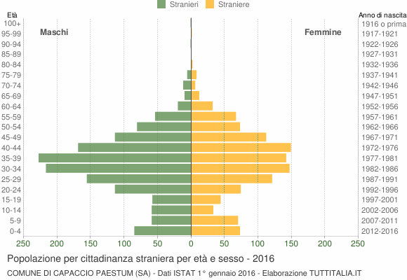 Grafico cittadini stranieri - Capaccio Paestum 2016
