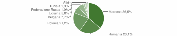 Grafico cittadinanza stranieri - Ceraso 2008
