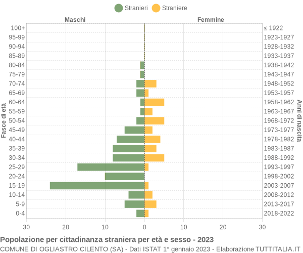 Grafico cittadini stranieri - Ogliastro Cilento 2023