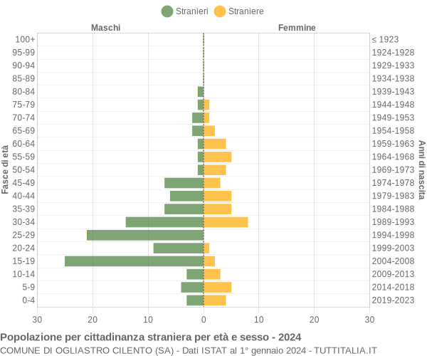 Grafico cittadini stranieri - Ogliastro Cilento 2024