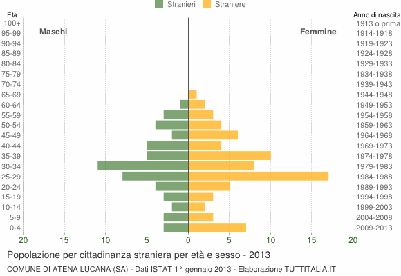 Grafico cittadini stranieri - Atena Lucana 2013