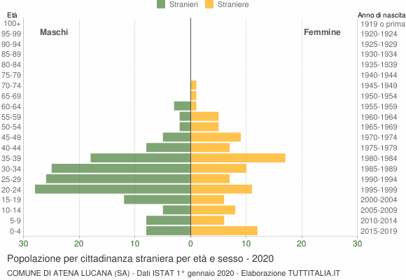 Grafico cittadini stranieri - Atena Lucana 2020