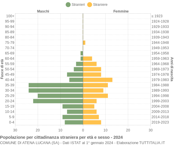 Grafico cittadini stranieri - Atena Lucana 2024