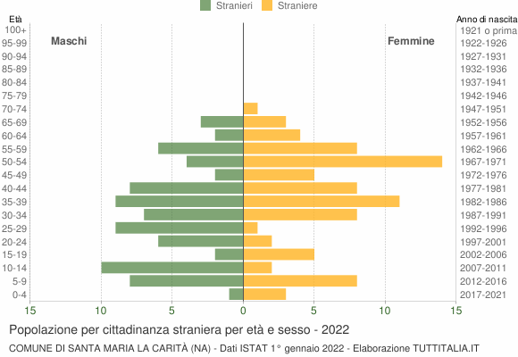 Grafico cittadini stranieri - Santa Maria la Carità 2022