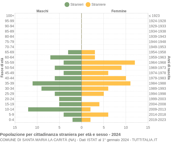 Grafico cittadini stranieri - Santa Maria la Carità 2024