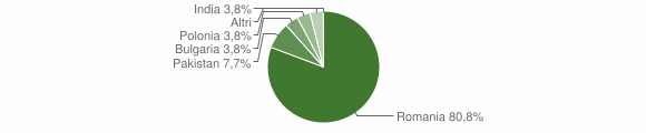 Grafico cittadinanza stranieri - Zungoli 2013