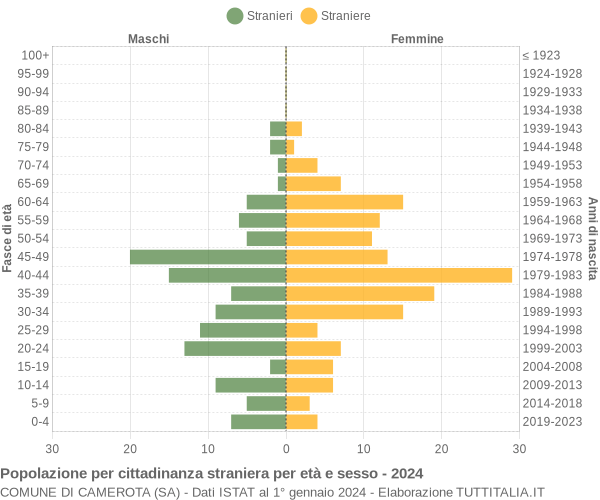 Grafico cittadini stranieri - Camerota 2024