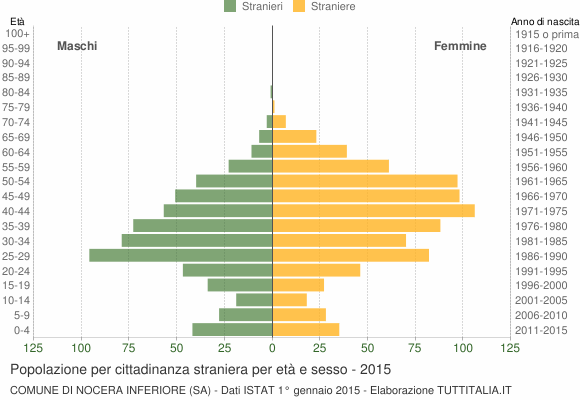 Grafico cittadini stranieri - Nocera Inferiore 2015