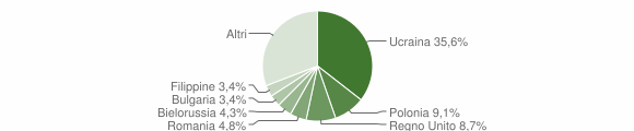 Grafico cittadinanza stranieri - Piano di Sorrento 2010