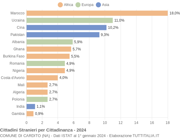 Grafico cittadinanza stranieri - Cardito 2024