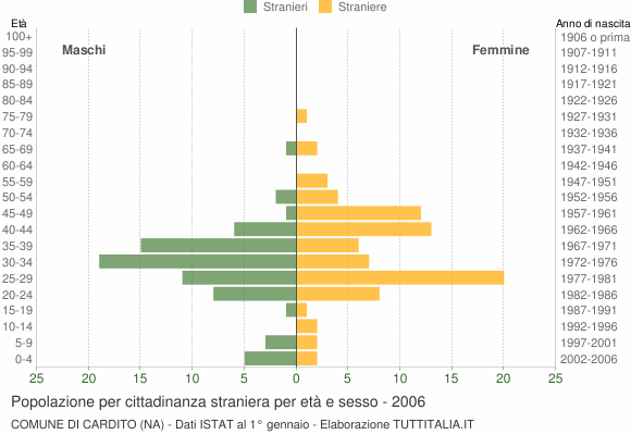 Grafico cittadini stranieri - Cardito 2006
