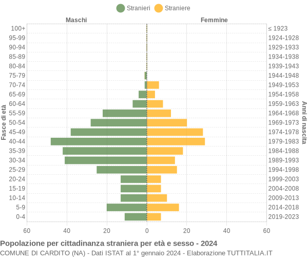 Grafico cittadini stranieri - Cardito 2024