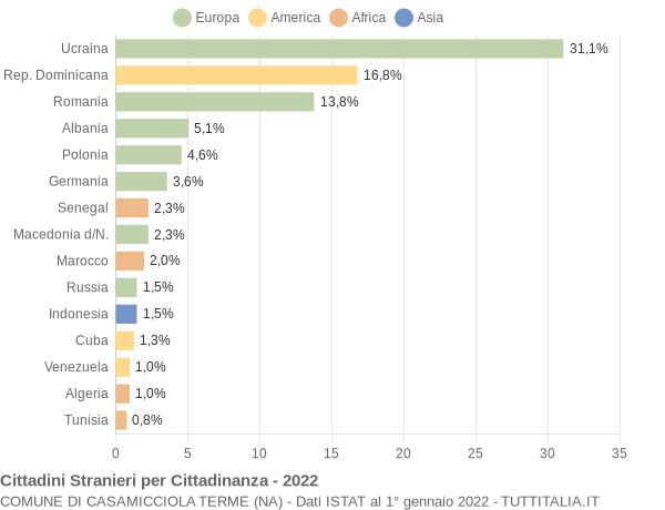 Grafico cittadinanza stranieri - Casamicciola Terme 2022