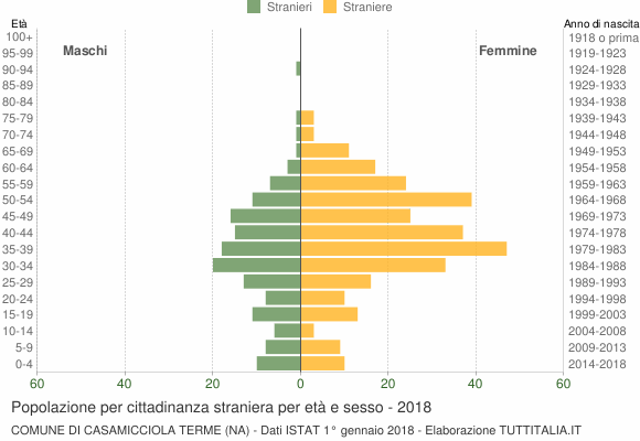 Grafico cittadini stranieri - Casamicciola Terme 2018