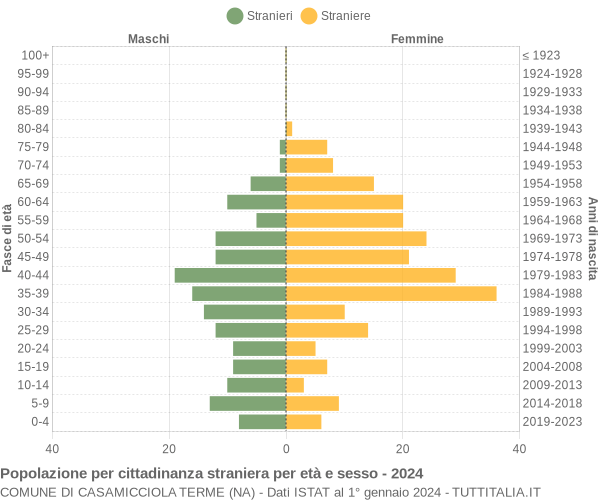 Grafico cittadini stranieri - Casamicciola Terme 2024