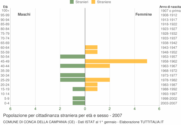 Grafico cittadini stranieri - Conca della Campania 2007