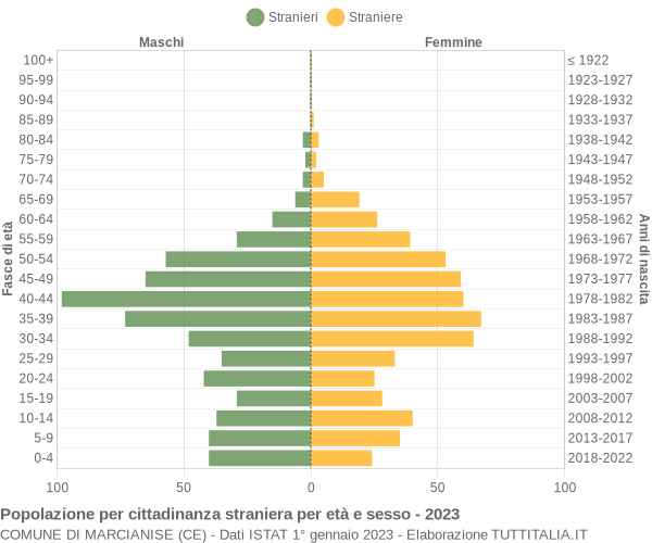 Grafico cittadini stranieri - Marcianise 2023