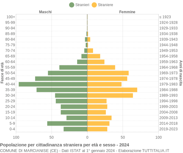 Grafico cittadini stranieri - Marcianise 2024