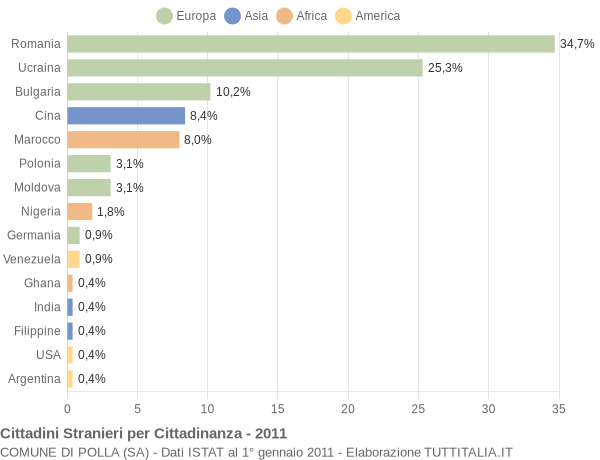 Grafico cittadinanza stranieri - Polla 2011