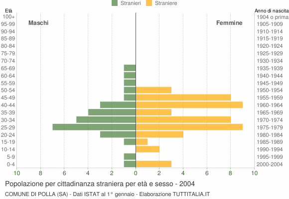 Grafico cittadini stranieri - Polla 2004