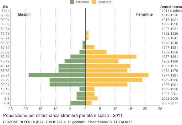 Grafico cittadini stranieri - Polla 2011