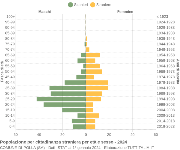 Grafico cittadini stranieri - Polla 2024