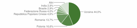 Grafico cittadinanza stranieri - Cercola 2012