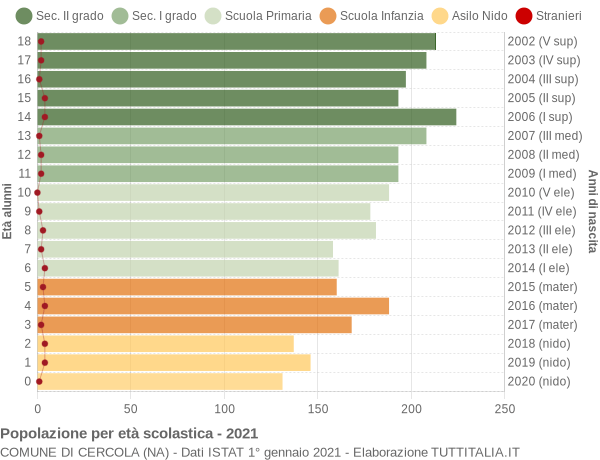 Grafico Popolazione in età scolastica - Cercola 2021