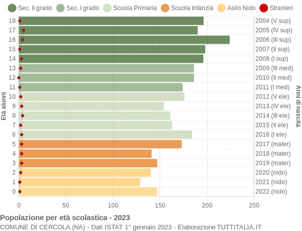 Grafico Popolazione in età scolastica - Cercola 2023