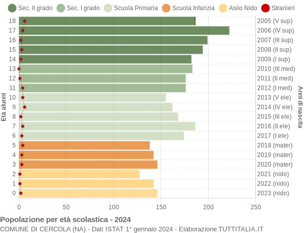 Grafico Popolazione in età scolastica - Cercola 2024