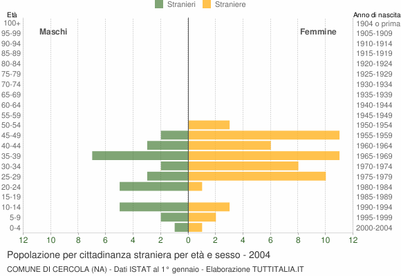 Grafico cittadini stranieri - Cercola 2004