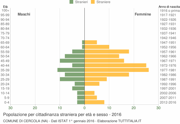 Grafico cittadini stranieri - Cercola 2016