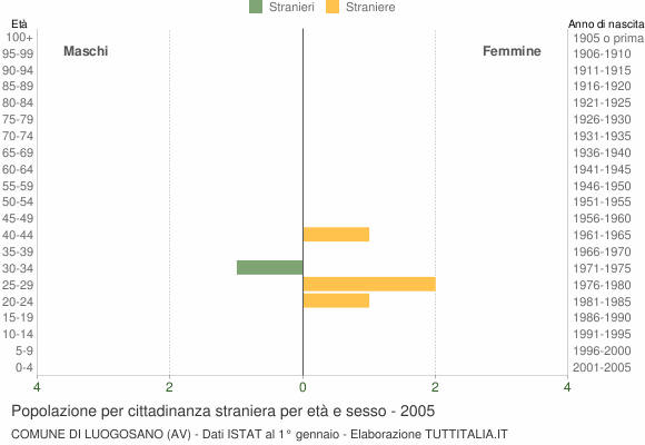 Grafico cittadini stranieri - Luogosano 2005